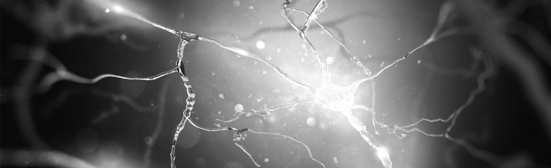 Bild Bobath meets Manuelle - Biomechanische und neuromuskuläre Aspekte der UNTEREN EXTREMITÄT, in der Behandlung neurologischer Patienten - SÜDTIROL