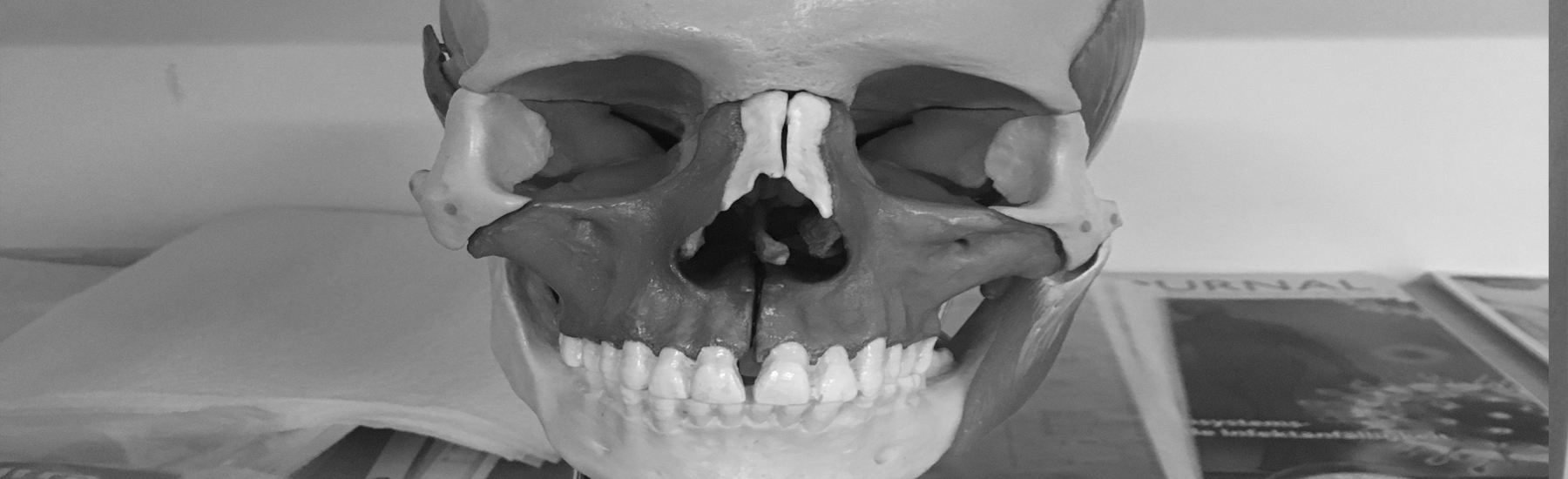 Bild FMD - Craniomandibuläre Diagnostik für (Zahn-)Ärztinnen/(Zahn-)Ärzte